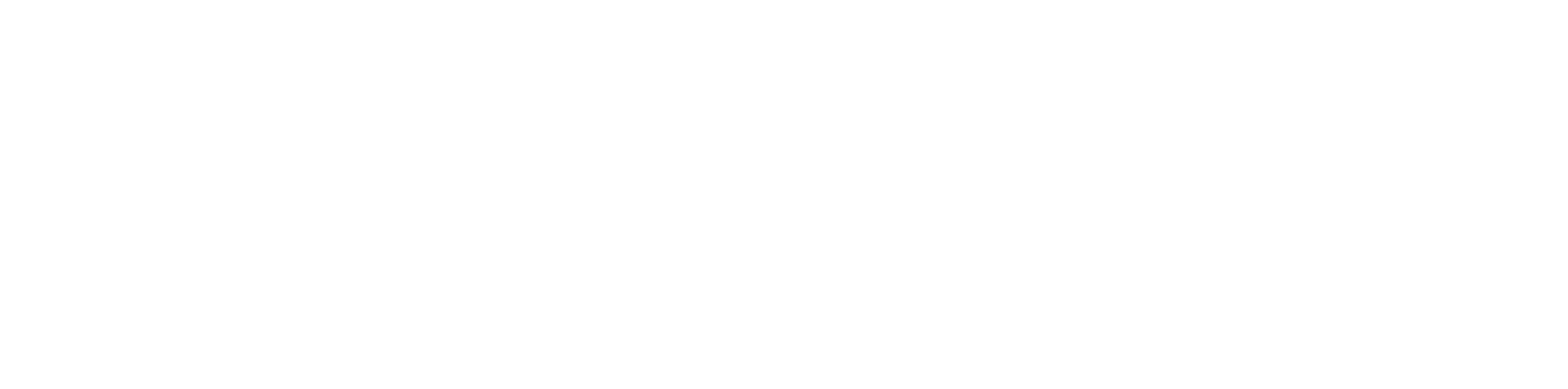 Logo da NasPlacas